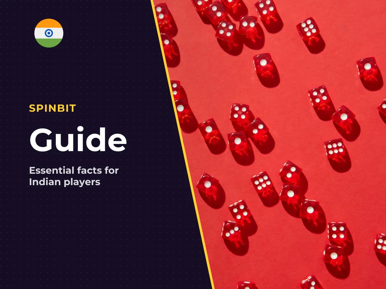 Why This Guide Matters If You