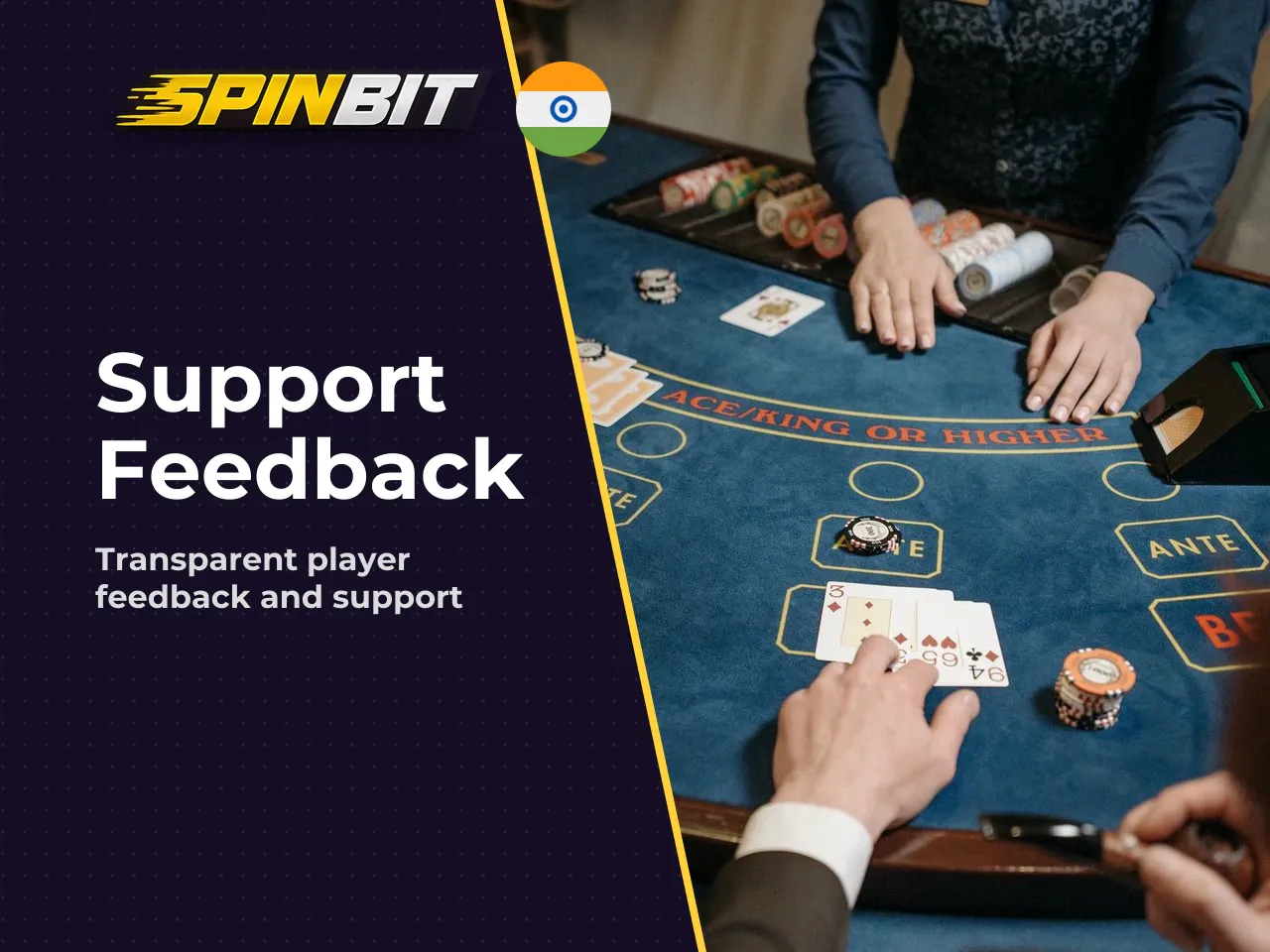 12. Spinbit Reviews and Contacting Customer