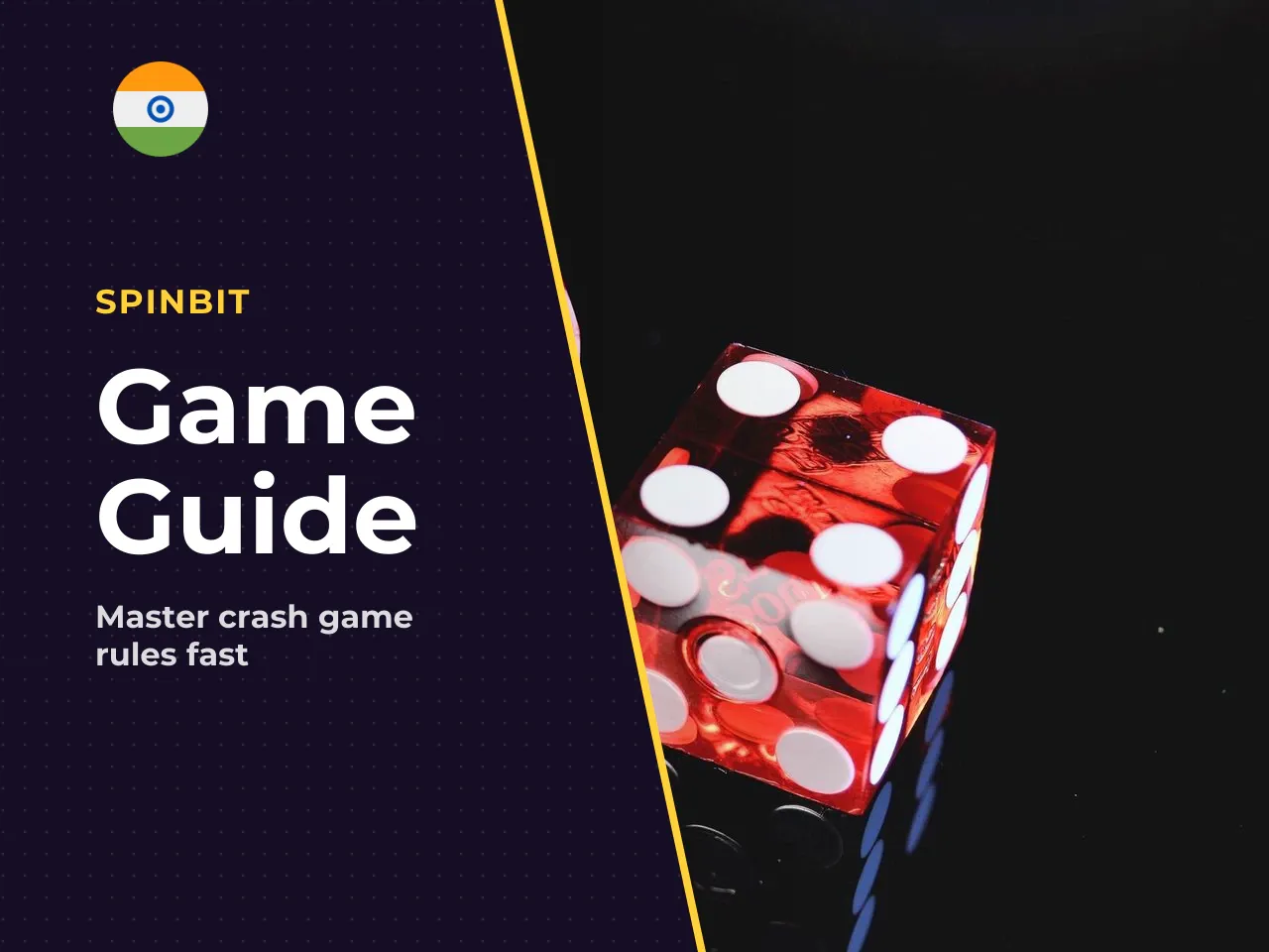 Who This Guide Is For and