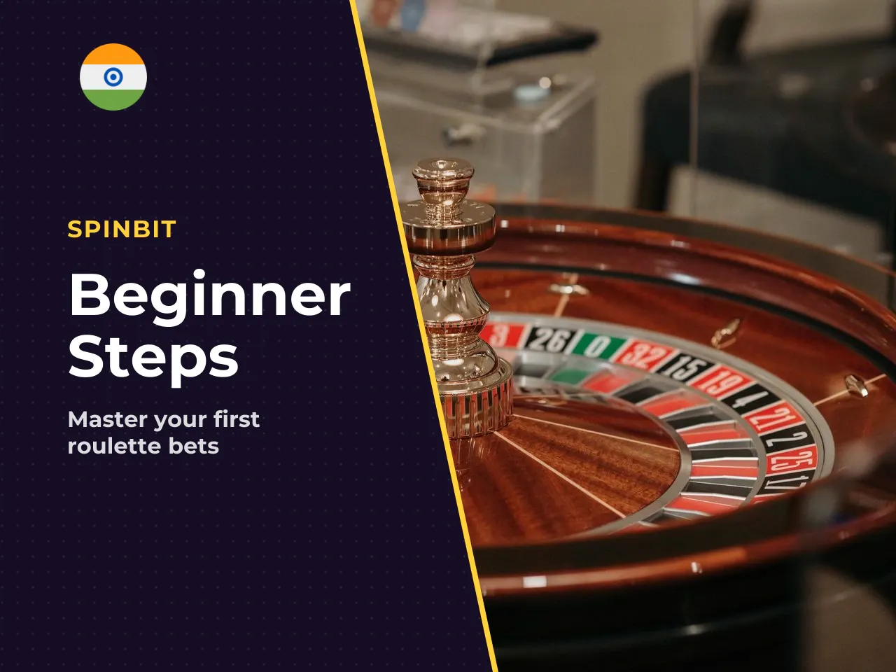 What to Do Next A Beginner's